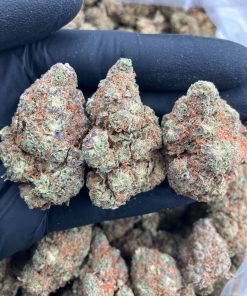 Buy Gelato Kush Strain Online