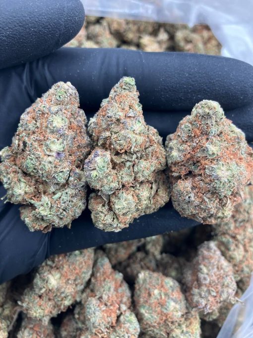 Buy Gelato Kush Strain Online