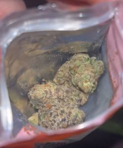 Buy To The Moon Jupiter Juice Weed Strain