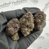 Buy Purple Gelato Kush